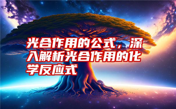 光合作用的公式，深入解析光合作用的化学反应式