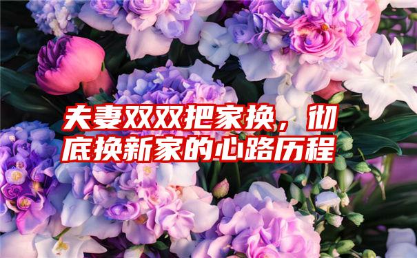 夫妻双双把家换，彻底换新家的心路历程