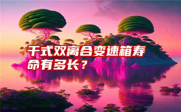 干式双离合变速箱寿命有多长？