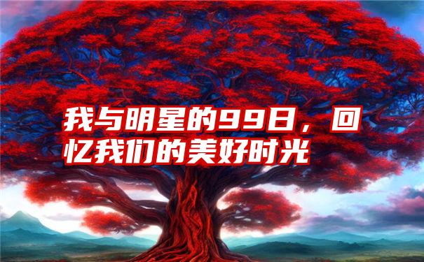 我与明星的99日，回忆我们的美好时光