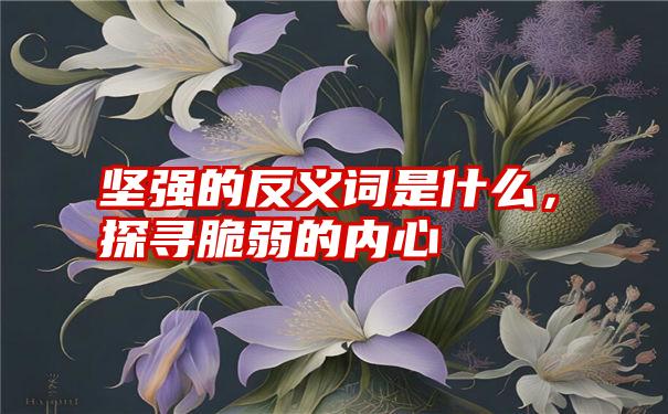 坚强的反义词是什么，探寻脆弱的内心