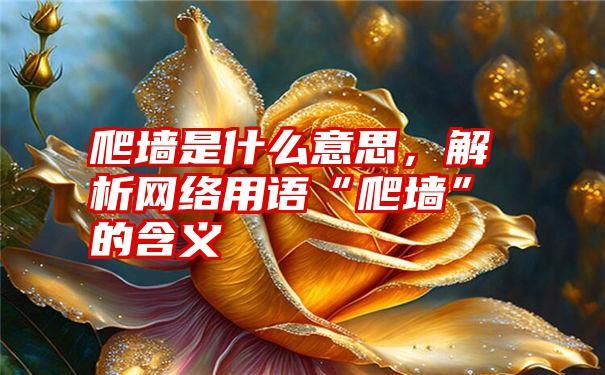 爬墙是什么意思，解析网络用语“爬墙”的含义