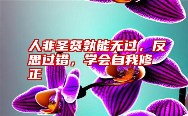 人非圣贤孰能无过，反思过错，学会自我修正