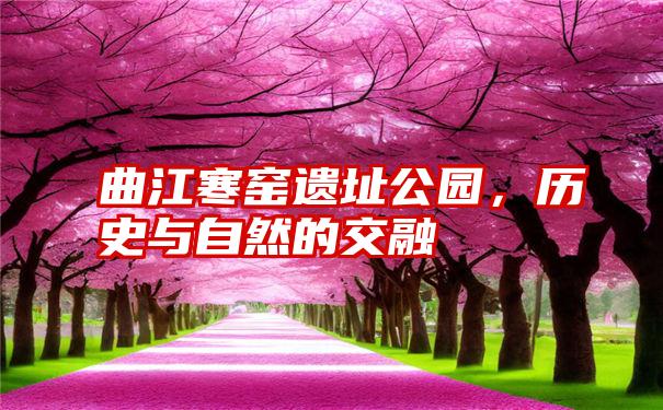 曲江寒窑遗址公园，历史与自然的交融