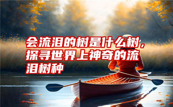 会流泪的树是什么树，探寻世界上神奇的流泪树种