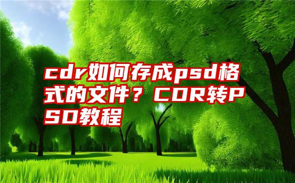 cdr如何存成psd格式的文件？CDR转PSD教程