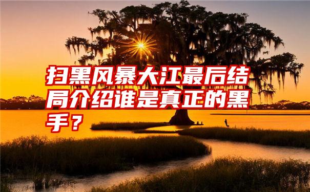 扫黑风暴大江最后结局介绍谁是真正的黑手？