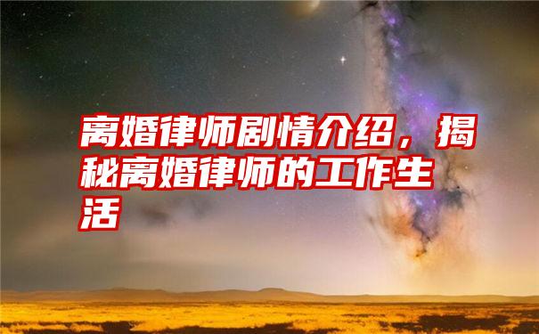 离婚律师剧情介绍，揭秘离婚律师的工作生活