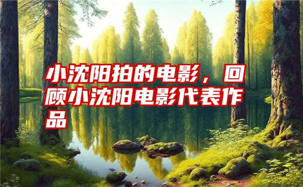 小沈阳拍的电影，回顾小沈阳电影代表作品