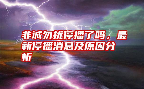 非诚勿扰停播了吗，最新停播消息及原因分析