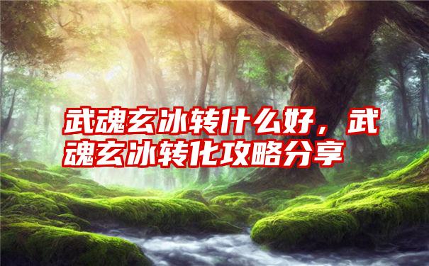 武魂玄冰转什么好，武魂玄冰转化攻略分享