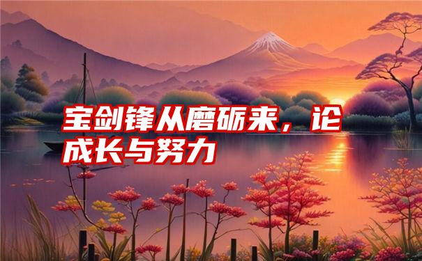 宝剑锋从磨砺来，论成长与努力