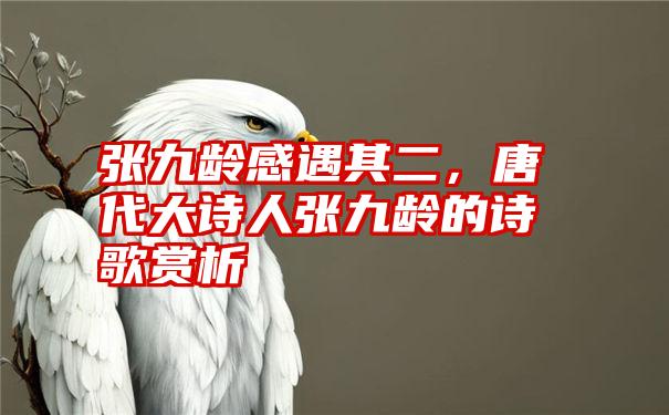 张九龄感遇其二，唐代大诗人张九龄的诗歌赏析