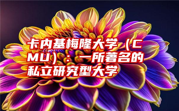 卡内基梅隆大学（CMU）：一所著名的私立研究型大学