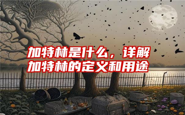 加特林是什么，详解加特林的定义和用途