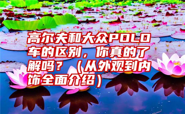 高尔夫和大众POLO车的区别，你真的了解吗？（从外观到内饰全面介绍）