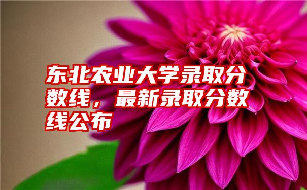 东北农业大学录取分数线，最新录取分数线公布