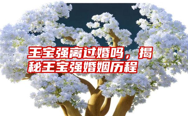 王宝强离过婚吗，揭秘王宝强婚姻历程