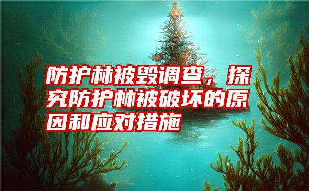 防护林被毁调查，探究防护林被破坏的原因和应对措施