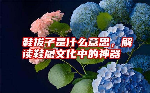 鞋拔子是什么意思，解读鞋履文化中的神器