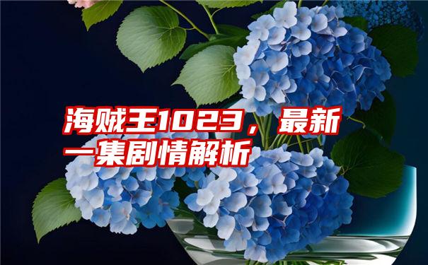 海贼王1023，最新一集剧情解析