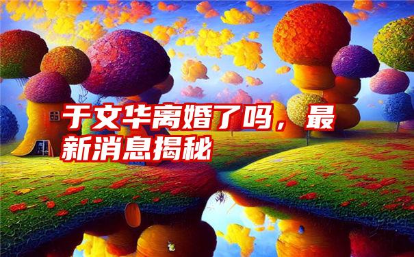 于文华离婚了吗，最新消息揭秘