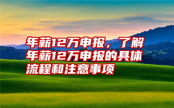 年薪12万申报，了解年薪12万申报的具体流程和注意事项