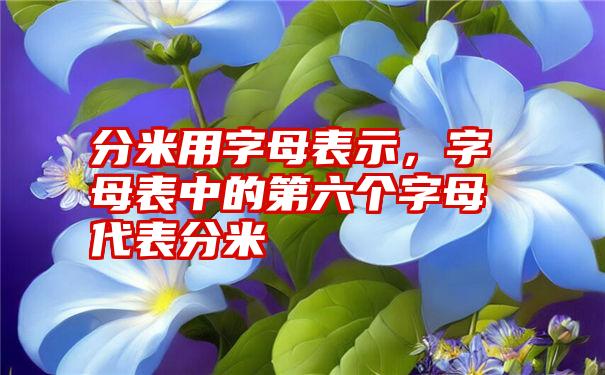 分米用字母表示，字母表中的第六个字母代表分米