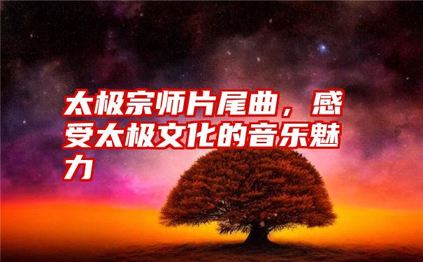 太极宗师片尾曲，感受太极文化的音乐魅力