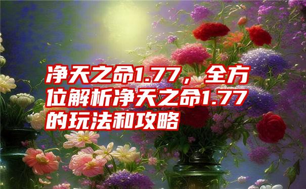 净天之命1.77，全方位解析净天之命1.77的玩法和攻略