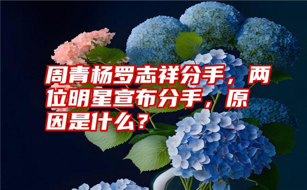 周青杨罗志祥分手，两位明星宣布分手，原因是什么？