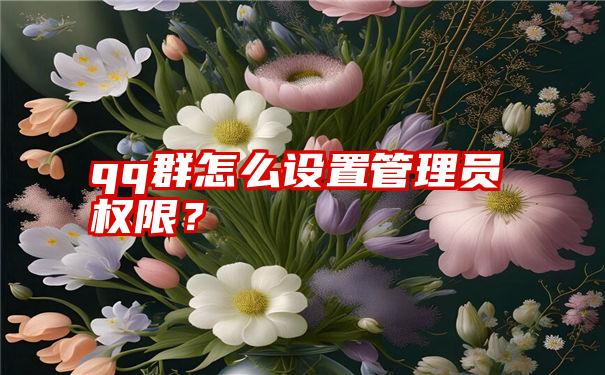 qq群怎么设置管理员权限？