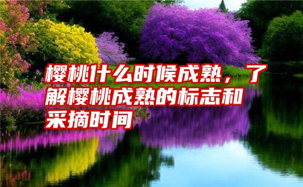 樱桃什么时候成熟，了解樱桃成熟的标志和采摘时间