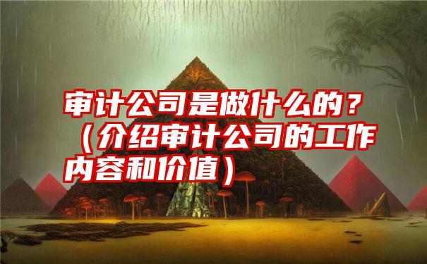 审计公司是做什么的？（介绍审计公司的工作内容和价值）