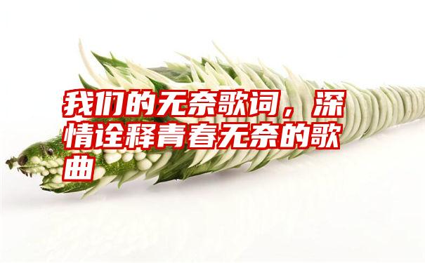 我们的无奈歌词，深情诠释青春无奈的歌曲