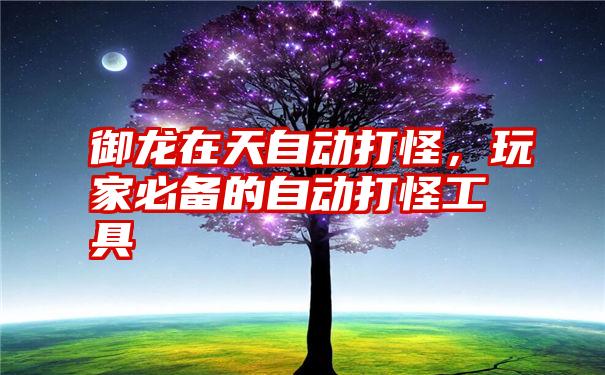 御龙在天自动打怪，玩家必备的自动打怪工具