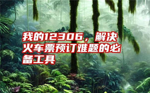 我的12306，解决火车票预订难题的必备工具