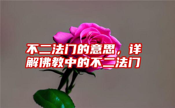 不二法门的意思，详解佛教中的不二法门