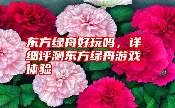 东方绿舟好玩吗，详细评测东方绿舟游戏体验