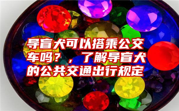 导盲犬可以搭乘公交车吗？，了解导盲犬的公共交通出行规定