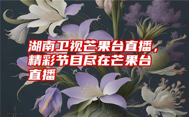 湖南卫视芒果台直播，精彩节目尽在芒果台直播