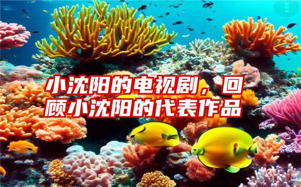 小沈阳的电视剧，回顾小沈阳的代表作品