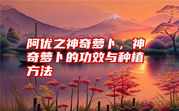 阿优之神奇萝卜，神奇萝卜的功效与种植方法