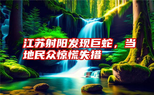 江苏射阳发现巨蛇，当地民众惊慌失措