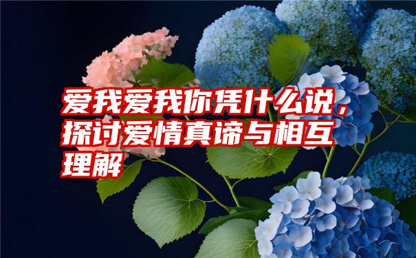 爱我爱我你凭什么说，探讨爱情真谛与相互理解