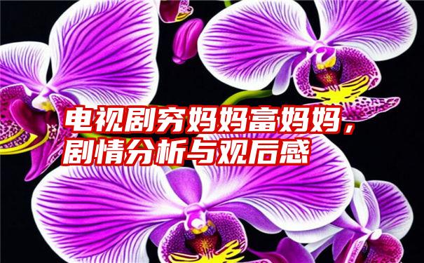 电视剧穷妈妈富妈妈，剧情分析与观后感