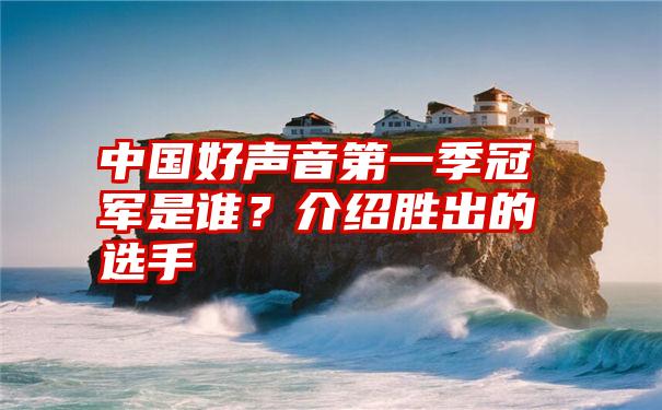 中国好声音第一季冠军是谁？介绍胜出的选手