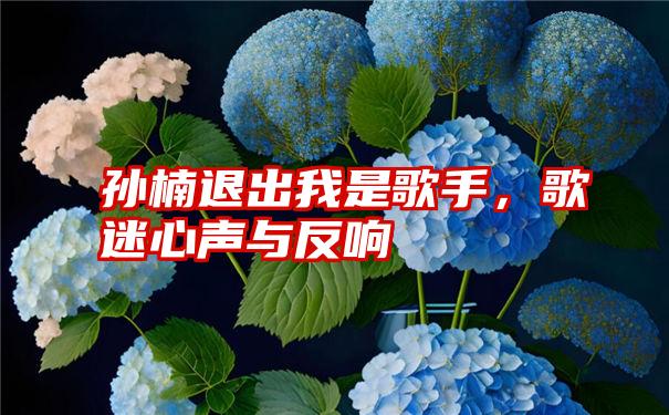 孙楠退出我是歌手，歌迷心声与反响