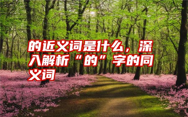 的近义词是什么，深入解析“的”字的同义词