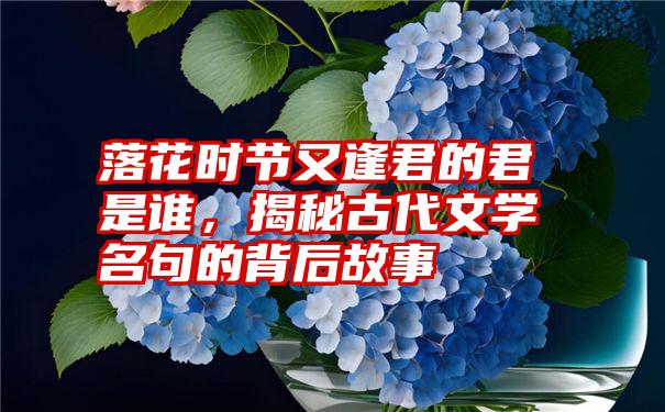 落花时节又逢君的君是谁，揭秘古代文学名句的背后故事